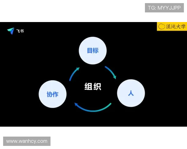 上海排球队灵活性探讨:技战术创新与团队协作的完美结合 上海排球队灵活性探讨:技战术创新与团队协作的完美结合