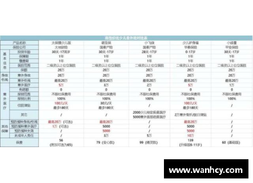 球员职位百科全书 - 探讨各大球员的独特角色与职责